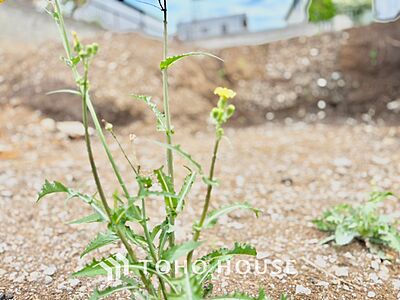 外観：【そよぐ風、緑の香り】澄み切った空気。移ろう季節の中、ゆっくりと流れる時間を、大切な人と愛でる至福。幸せを噛みしめる穏やかな生活。