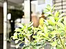 外観：【APPEARANCE】◆眩い◆光が燦々と入り、家族の笑顔を照らす。「いつまでも続いて」と願う夢のような毎日がここにある。