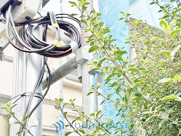 外観を拡大表示