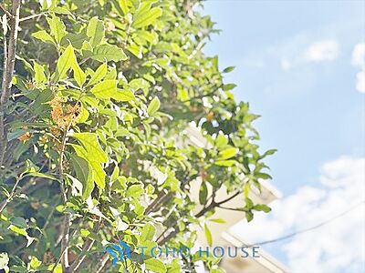 外観:◆ここが居場所◆家族みんなが集うこの場所で、あなただけのSTORYを。あなたが笑い、家族が笑い、幸せが溢れる夢のような毎日を。 外観:◆ここが居場所◆家族みんなが集うこの場所で、あなただけのSTORYを。あなたが笑い、家族が笑い、幸せが溢れる夢のような毎日を。