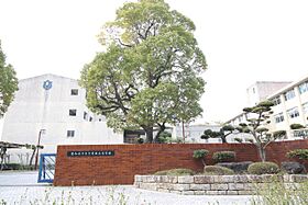 アイリーハイツ富士(南区) 202 ｜ 愛知県名古屋市南区西又兵ヱ町４丁目（賃貸アパート1K・2階・19.83㎡） その19