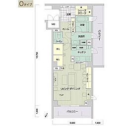メイビル向陽町 1階ワンルームの間取り