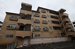 シャンポール幹II