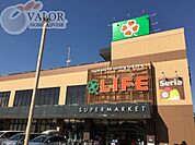ライフ上鶴間店 徒歩10分。（790m）