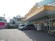 FitCareDEPOT相模大野店（1404m）