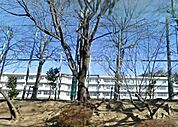 町田市立 鶴川第二中学校（3518m）