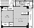 ビレッジハウス立江13階3.1万円