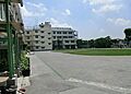 北区立堀船小学...