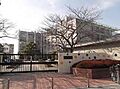 【小学校】横堤...