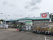 コメリハード＆グリーン館林北店 406m