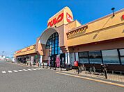 ベルク広瀬店 244m