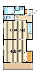 フュテュール石神井 1階/-