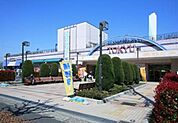 高島平とうきゅう 545m