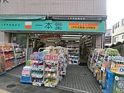 ドラッグストア一本堂下板橋店 徒歩6分。ドラックストア 480m