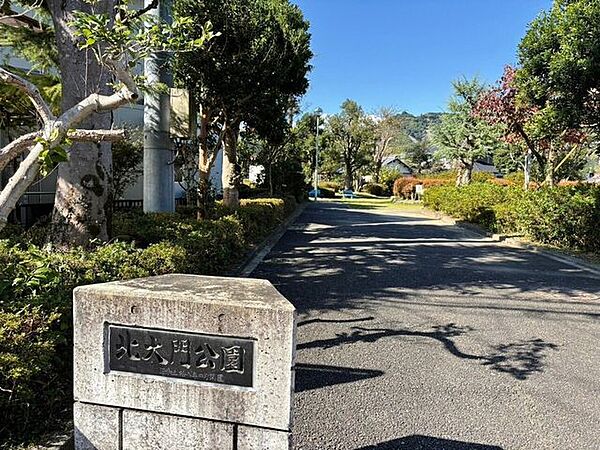 周辺を拡大表示