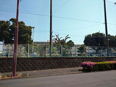 静岡市立清水船越小学校≪教育目標≫高い知性・豊かな心情・じょうぶな体～知・徳・体のバランスのとれた力を身に付けた児童生徒～≪重点目標≫一歩　踏み出す子●児童数（2023年度）…591名 1050m