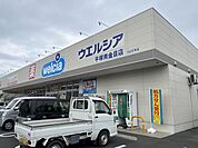 ウエルシア平塚南金目店 徒歩10分。 800m