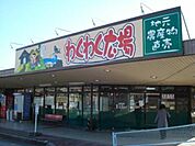 わくわく広場二宮店 1683m