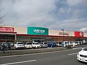 カインズホーム小田原高田店 1312m