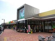 ヨークマート酒匂店 徒歩20分。スーパー 1530m
