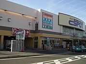 エスポット伊勢原店 2000m