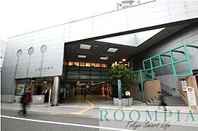 プレール・ドゥーク品川旗の台 303 ｜ 東京都品川区西中延１丁目8-15（賃貸マンション1K・3階・20.49㎡） その24