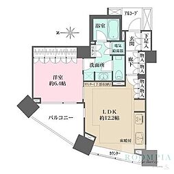 パークハウスオー・タワー 13階/1303