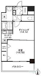 セレーネ自由が丘 2階/204