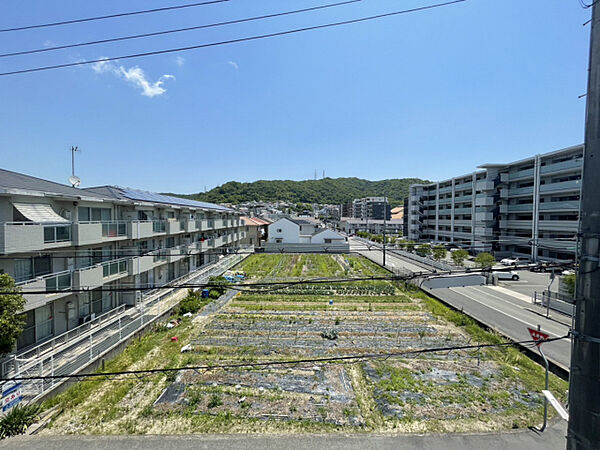 シャーメゾン田寺東 ｜兵庫県姫路市田寺東2丁目(賃貸マンション2LDK・3階・59.81㎡)の写真 その16