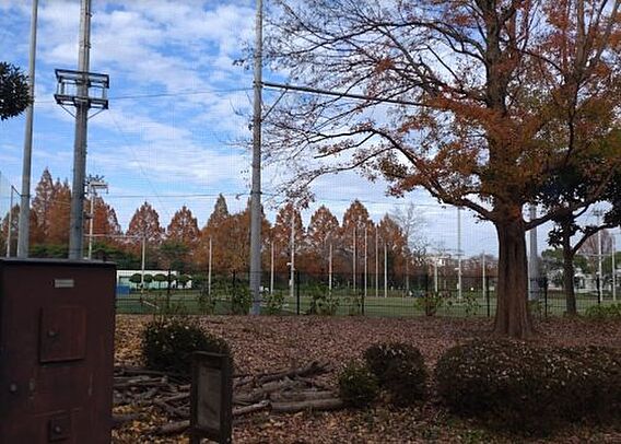【公園】町田中...