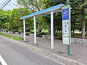 その他環境写真 《バス停「平和1条11丁目」》すぐ近くにバス停があり便利です。 88m