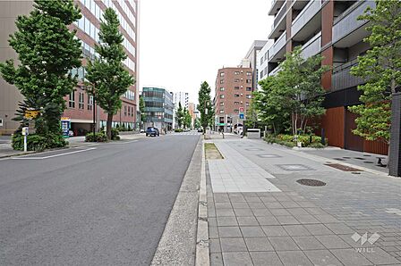 敷地南側の前面道路(東側から)