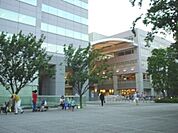 文京グリーンコート 515m