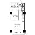 テルマエドムス根岸6階16.5万円