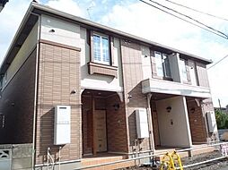 カメリア　エス