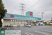 ドラッグセイムス鴻巣薬局 徒歩9分。ドラックストア 720m