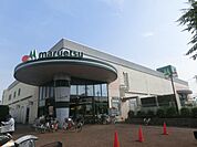 マルエツ金杉店 1030m