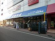 フーズセレクション 660m