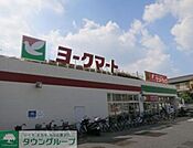 サンドラッグ藤原店 徒歩16分。ドラックストア 1220m