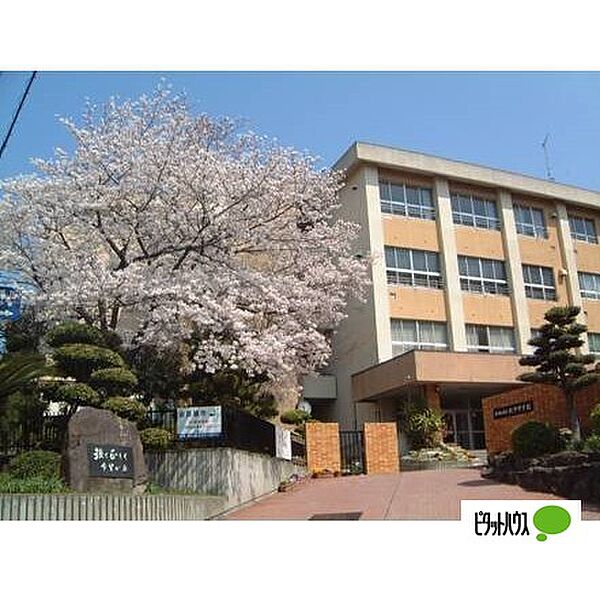 画像26:中学校「和歌山市立紀伊中学校まで373m」