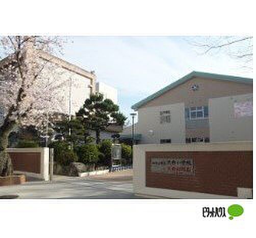 画像26:小学校「和歌山市立大新小学校まで817m」