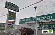 ドラッグストア 「エバグリーン紀三井寺店まで1150m」