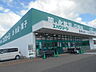 周辺：ドラッグストア 「エバグリーン御坊店様まで1100m」