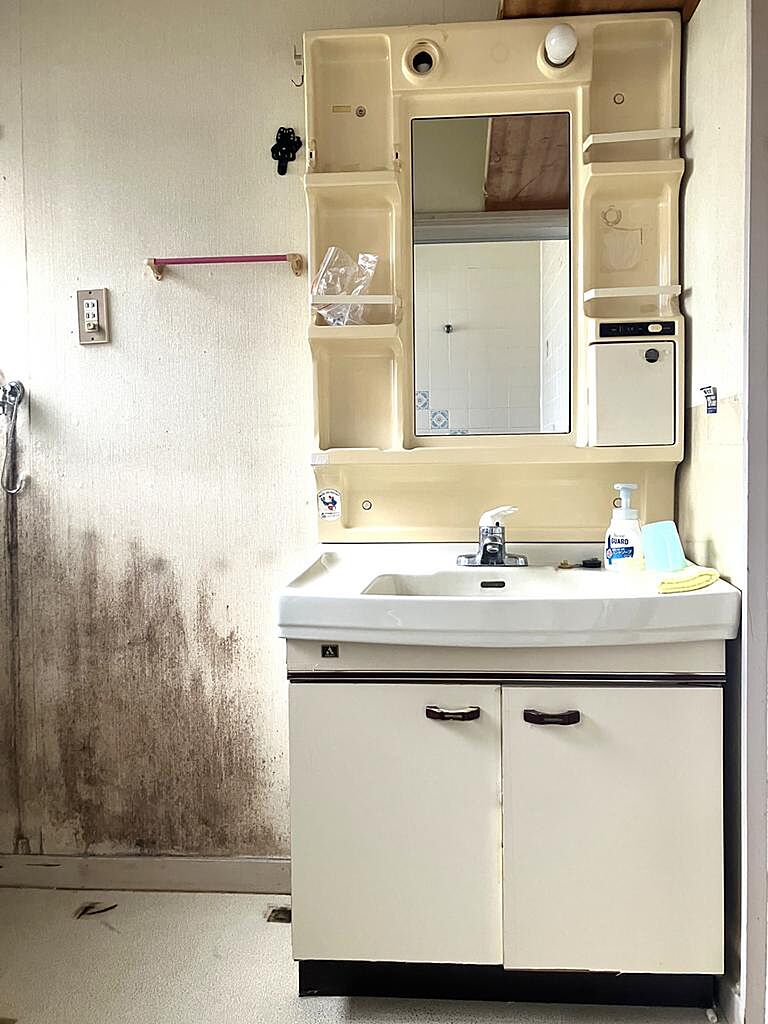 Image 21