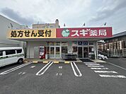 スギドラッグ長良町店まで　893m　徒歩約12分