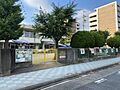 中島保育園まで...