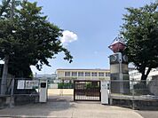 大磯小学校まで　314m　徒歩約4分●教育目標「人間性豊かな心と、自ら学ぶ意欲をもち、たくましく生きる児童の育成」　日々感動があり、楽しく通える安全な学校を目指しているそうです