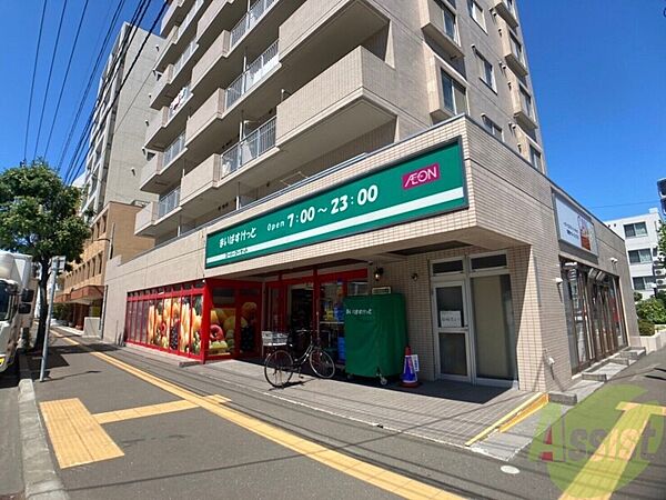 北海道札幌市北区北二十二条西3丁目(賃貸マンション1LDK・8階・34.64㎡)の写真 その29