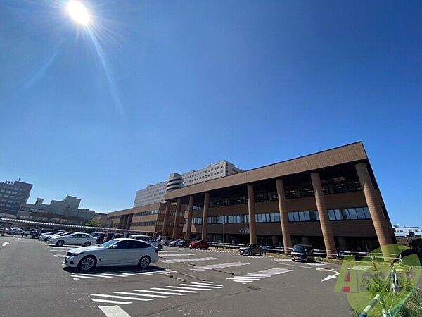 北海道札幌市北区北十条西1丁目(賃貸マンション1K・8階・31.32㎡)の写真 その30