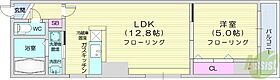 アリスマナーBLD  ｜ 北海道札幌市中央区北三条東2丁目（賃貸マンション1LDK・8階・38.96㎡） その2